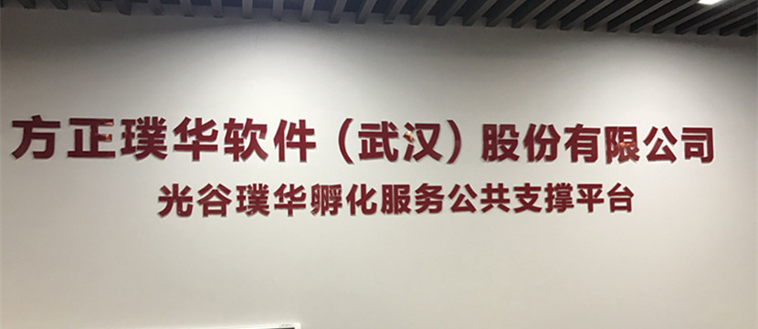 走出課堂，走進(jìn)企業(yè)—藍(lán)鷗武漢學(xué)子赴方正璞華參觀學(xué)習(xí)